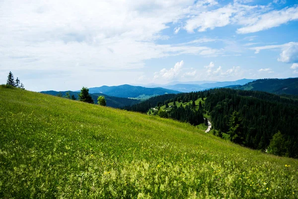 Paisagem Etapa Ciumarna Palma Passo Palma Monumento Trabalhadores Rodoviários Bucovina — Fotografia de Stock