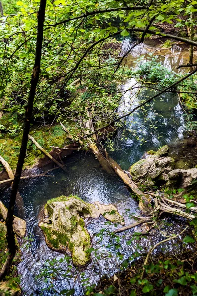 Водопад Вайоага Баната Один Самых Красивых Румынии Расположен Парке Cheile — стоковое фото