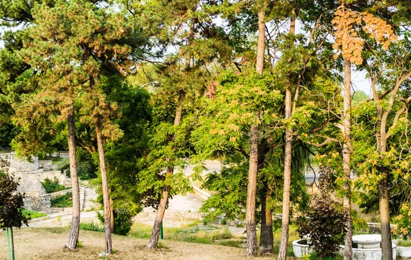루마니아의 세베린에 갈리나 공원의 — 스톡 사진