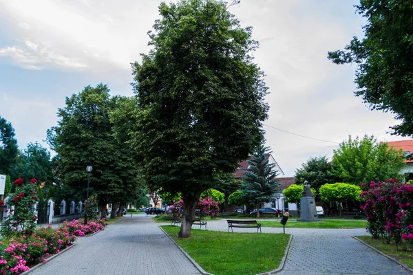 Plaza Unión Donde Encuentra Estatua Alexandru Ioan Cuza Ciudad Bistrita — Foto de Stock