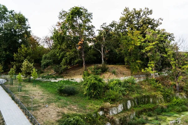 루마니아의 세베린에 갈리나 공원의 — 스톡 사진