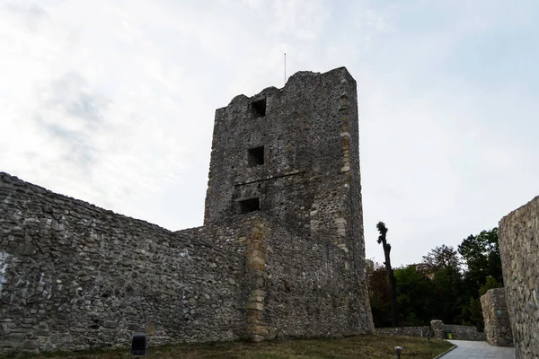 Ερείπια Μεσαιωνικού Φρουρίου Drobeta Turnu Severin Ρουμανία — Φωτογραφία Αρχείου