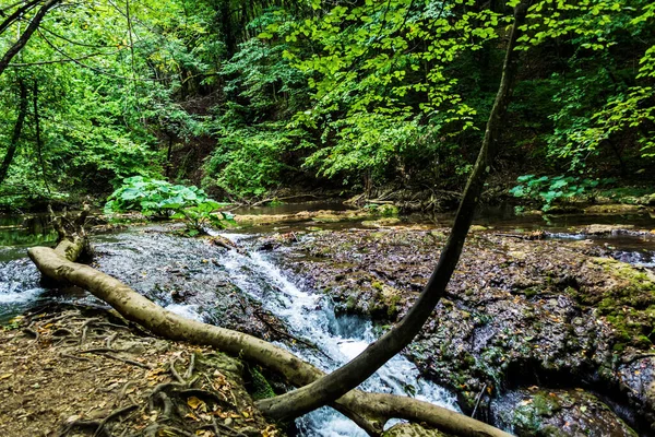 Cascada Vaioaga Banat Una Las Más Bellas Rumania Ubicada Parque —  Fotos de Stock