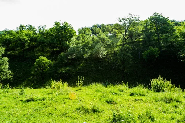 Krajina Zeleného Lesa Okrese Prislop Bistrita Nasaud Rumunsko — Stock fotografie