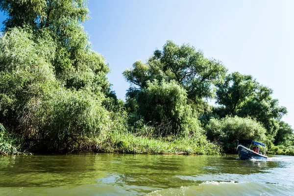 TULCEA, ROMANIA - 13 AĞUSTOS 2019: Tuna Deltası, Avrupa 'nın ikinci büyük nehir deltası.