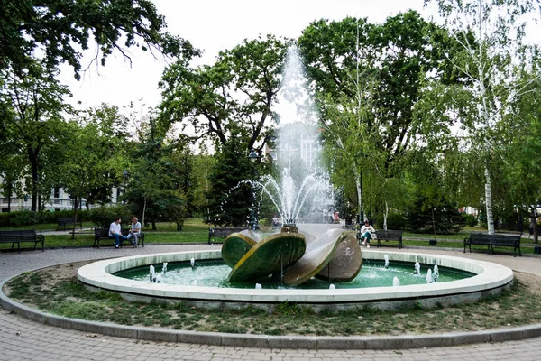 Drobeta Turnu Severin Rumänien September 2019 Artesischer Brunnen Stadtzentrum Von — Stockfoto