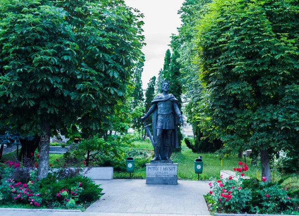 Suceava Roumanie Juin 2019 Statue Pierre Ier Musat Suceava Est — Photo