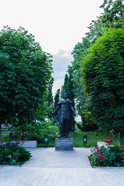 Suceava Rumunia Czerwca 2019 Posąg Piotra Musata Suczawie Pomnik Poświęcony — Zdjęcie stockowe