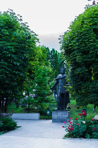 Suceava Rumunia Czerwca 2019 Posąg Piotra Musata Suczawie Pomnik Poświęcony — Zdjęcie stockowe