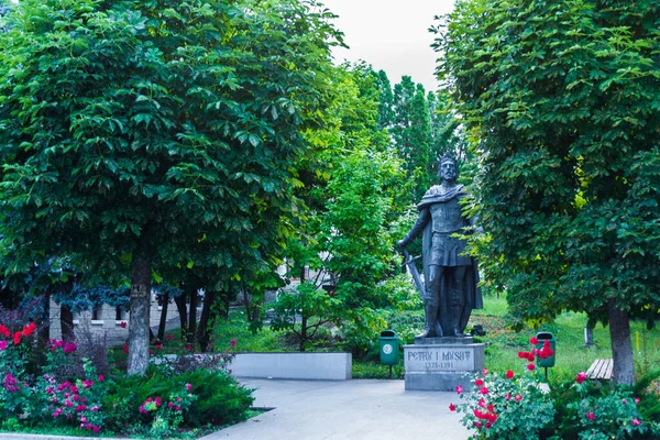 Suceava Romania Ιουνιου 2019 Άγαλμα Του Πέτρου Μουσάτ Στη Σουτσεάβα — Φωτογραφία Αρχείου
