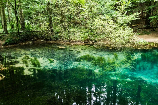 Ochiul Beiului Lac Émeraude Dans Parc National Cheile Nerei Beusnita — Photo