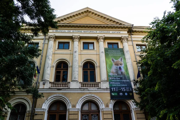 Bucharest Rumania Junio 2021 Museo Nacional Historia Natural Grigore Antipa — Foto de Stock