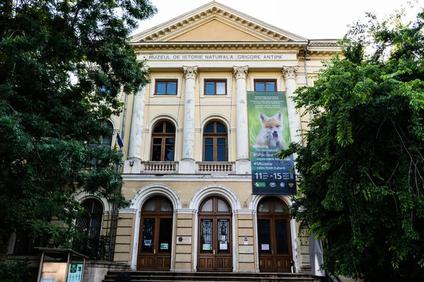 Bucharest Rumania Junio 2021 Museo Nacional Historia Natural Grigore Antipa — Foto de Stock