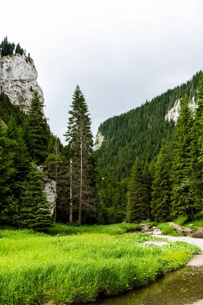 Zanoagei, Karpatlar 'ın dağlarını doldurur. Vadilerin başlangıcında. Romanya, Avrupa.
