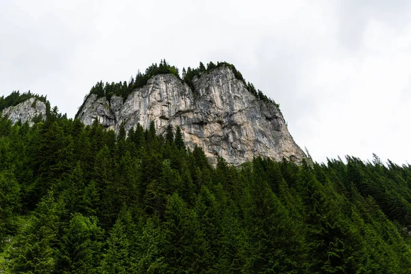 Zanoagei Schluchten Den Karpaten Der Erste Teil Der Schlucht Rumänien — Stockfoto