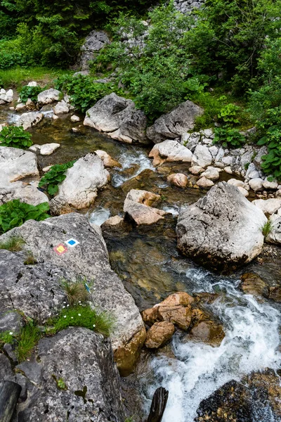 Заноагеї Ущелини Карпатах Річка Яломіта Румунія Європа — стокове фото