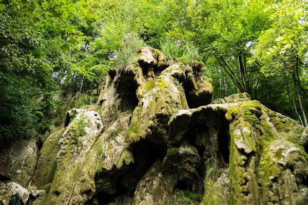 Cascade Beusnita Automne Parc National Cheile Nerei Beusnita Banat Roumanie — Photo
