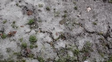 Donmuş toprak. Buz dokusuyla kaplı bir toprak. Üst görünüm. 