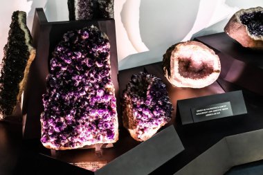 BUCHAREST, ROMANIA - 27 Haziran 2021 Grigore Antipa Ulusal Doğa Tarihi Müzesi 'nde sergilendi.