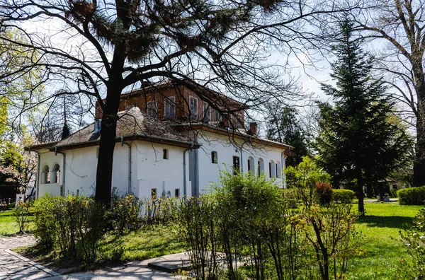 Golesti Romania April 2022 Golesti Museum Museum Viticulture Pomiculture — стоковое фото