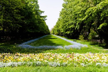 Cismigiu Garden, Bükreş 'in en eski halk bahçesi. Romanya.