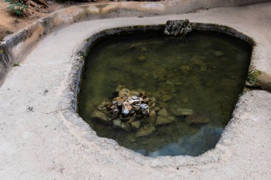 Thermae 'Germisara' or the Roman thermal baths in Geoagiu-Bai Resort. Hunedoara County, Romania.