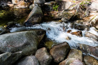 Romanya 'nın Hunedoara bölgesindeki Retezat dağlarından Lolaia şelalesi.