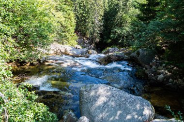 Romanya 'nın Hunedoara bölgesindeki Retezat dağlarından Lolaia şelalesi.
