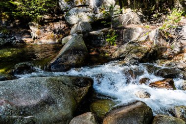 Romanya 'nın Hunedoara bölgesindeki Retezat dağlarından Lolaia şelalesi.