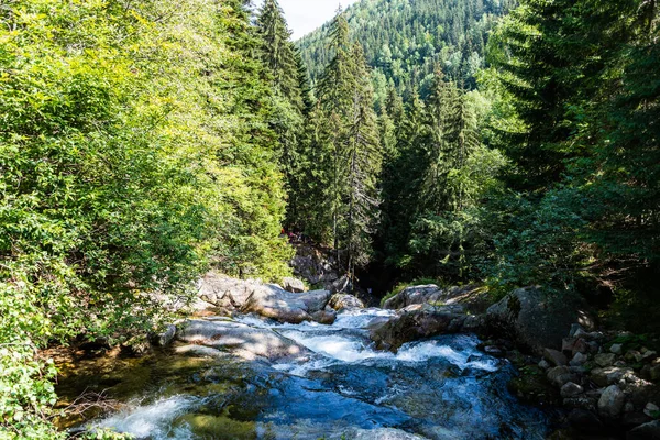 Lolaia Vattenfall Från Retezat Bergen Hunedoara Län Rumänien — Stockfoto
