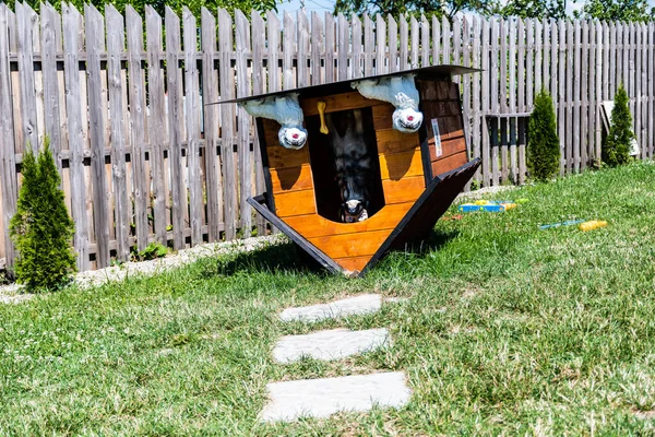 Poienari Gorj Romania ルーマニアのユニークな家を覆しました 覆された犬小屋 — ストック写真