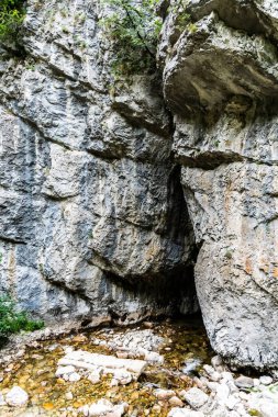 Romanya 'nın Gorj ilçesindeki Sohodol Gorges (Cheile Sohodolului) ve Valcan dağlarındaki Sohodol Nehri.