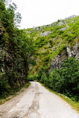 Romanya 'nın Gorj ilçesindeki Valcan dağlarında Sohodol Boğazı (Cheile Sohodolului).