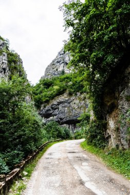 Romanya 'nın Gorj ilçesindeki Valcan dağlarında Sohodol Boğazı (Cheile Sohodolului).
