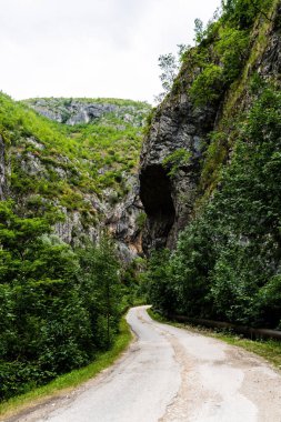 Romanya 'nın Gorj ilçesindeki Valcan dağlarında Sohodol Boğazı (Cheile Sohodolului).