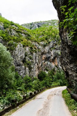 Romanya 'nın Gorj ilçesindeki Valcan dağlarında Sohodol Boğazı (Cheile Sohodolului).
