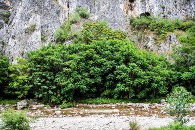Romanya 'nın Gorj ilçesindeki Sohodol Gorges (Cheile Sohodolului) ve Valcan dağlarındaki Sohodol Nehri.