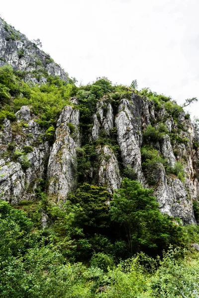 Sohodol Gorges Cheile Sohodolului Valkánských Horách Gorj Kraj Rumunsko — Stock fotografie