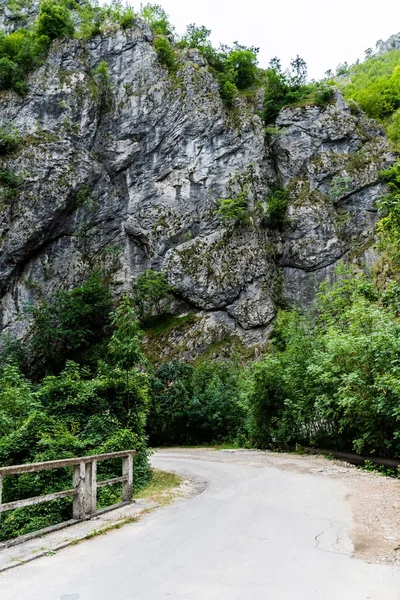 Sohodol Gorges Cheile Sohodolului Valkánských Horách Gorj Kraj Rumunsko — Stock fotografie