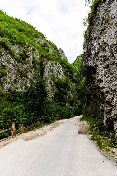 Sohodol Gorges Cheile Sohodolului Nas Montanhas Valcan Gorj County Roménia — Fotografia de Stock