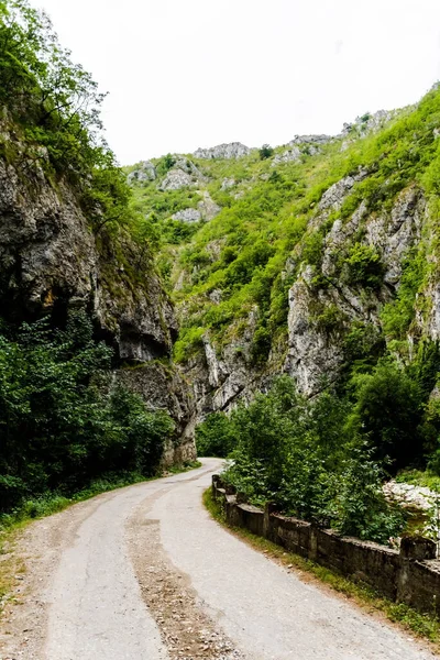 Sohodol Gorges Cheile Sohodolului Valkánských Horách Gorj Kraj Rumunsko — Stock fotografie