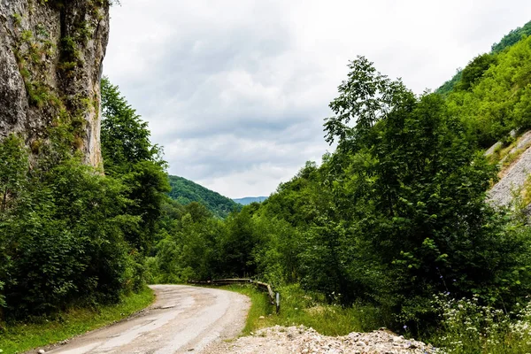 Sohodol Gorges Cheile Sohodolului Nas Montanhas Valcan Gorj County Roménia — Fotografia de Stock