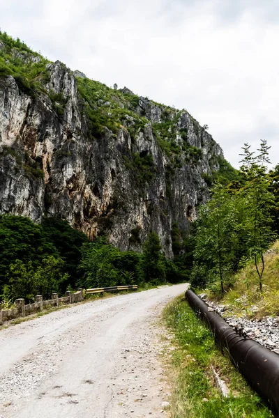 Sohodol Gorges Cheile Sohodolului Nas Montanhas Valcan Gorj County Roménia — Fotografia de Stock