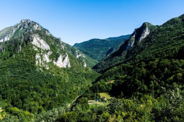 Tara Kanyonu 'nun manzarası. Durmitor Ulusal Parkı. Karadağ.