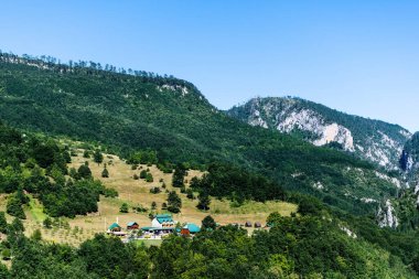 Tara Kanyonu 'nun manzarası. Durmitor Ulusal Parkı. Karadağ.