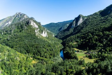 Tara Nehri Kanyonu manzarası. Durmitor Ulusal Parkı. Karadağ.