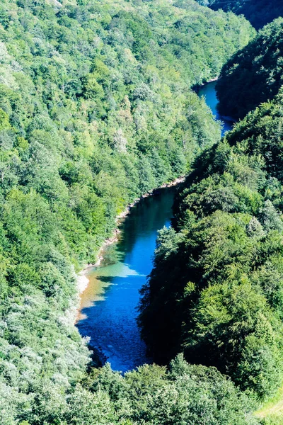 Paisaje Del Cañón Del Río Tara Parque Nacional Durmitor Montenegro — Foto de Stock