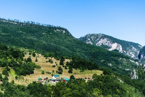 Landschaft Der Tara Schlucht Durmitor National Park Montenegro — Stockfoto