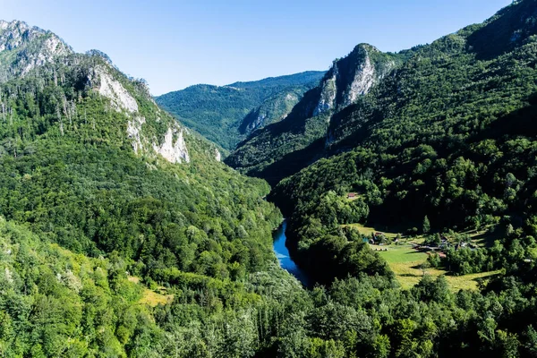 Tara Nehri Kanyonu manzarası. Durmitor Ulusal Parkı. Karadağ.