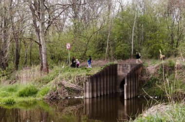 Göl manzarası. Vahşi ördeklerin yaşadığı bir yaz günü gemiler nehir boyunca yüzer. Balıkçılar için dinlenme alanı, doğada tatil